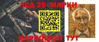 крисы Кулебаки