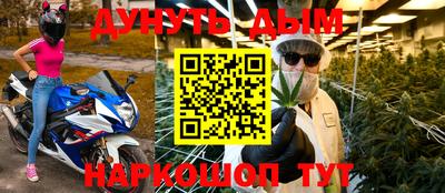 индика Лесосибирск