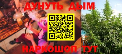 индика Лесосибирск