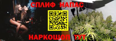 индика Лесосибирск