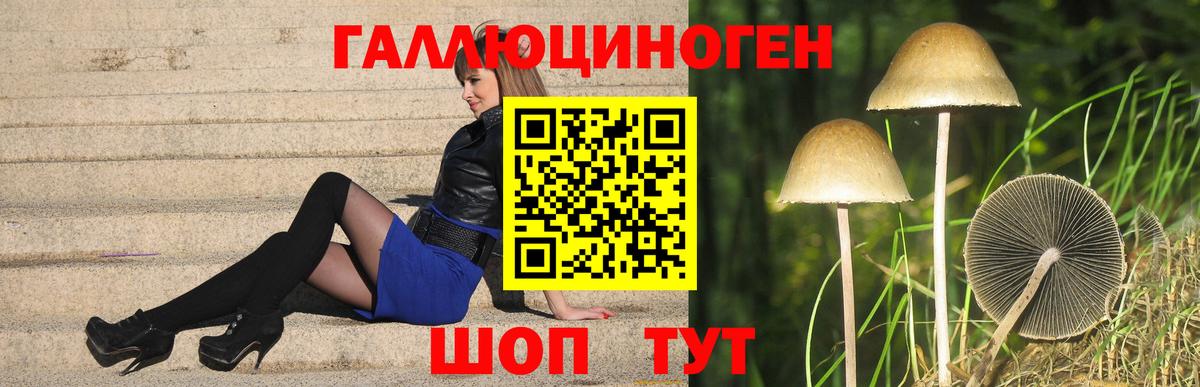 Псилоцибиновые грибы Cubensis Железноводск