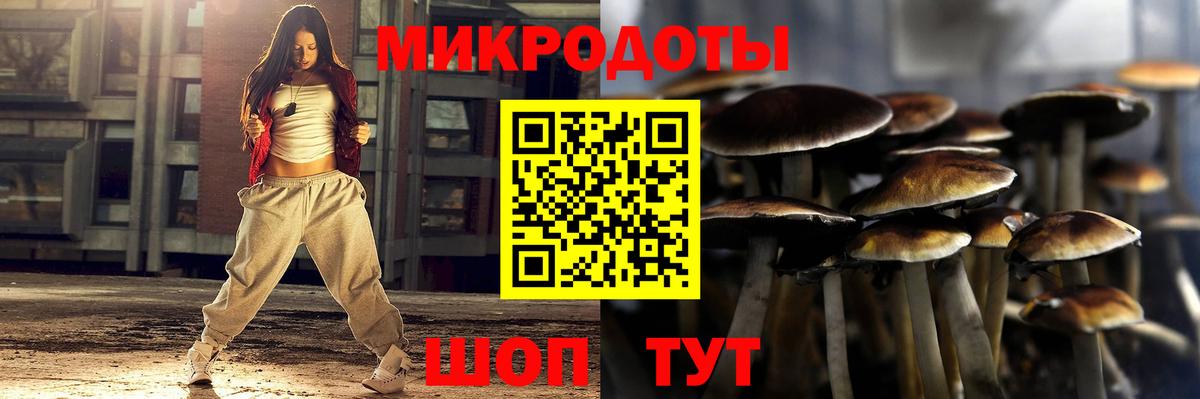 Галлюциногенные грибы Psilocybine cubensis  Вход с VPN  Железноводск 